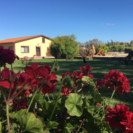 Agriturismo Sechi Campanedda Eksteriør billede